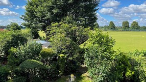 A large tree in a lush garden with a clear blue sky and a distant view of a field. - Unique 2 bedroom Flat in Heart of Walthamstow (Greater London)