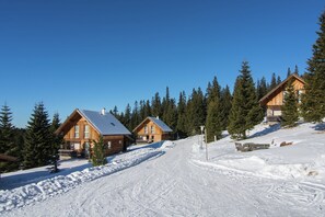 Exterior - Chalet in Carinthia with Sauna near Ski Slopes (Sankt Gertraud-Weinebene)
