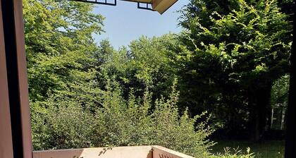 Appartement pres du port