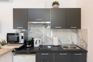 Studio (Apartments Roza - Studio Apartment 1) | Private kitchenette - Apartments Roza (Zupa dubrovacka)