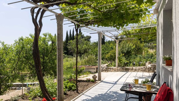 Studio (Apartments Roza - Studio Apartment 1) | Terrasse/patio