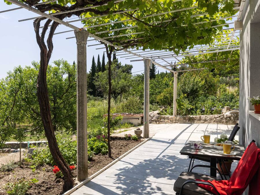 Studio (Apartments Roza - Studio Apartment 1) | Teras/patio