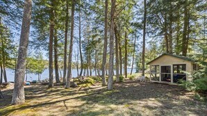 Een chalet met glazen wanden, omringd door hoge bomen en een meer.