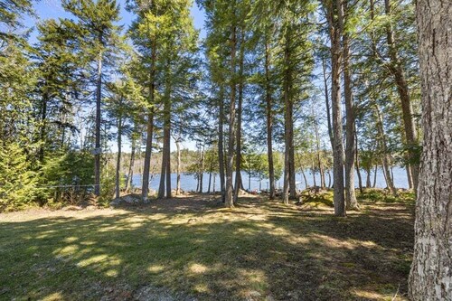 Beech Hill Pond Camp!