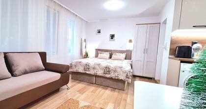 Studio "Aloha" near to the city center