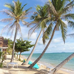 On the beach, white sand