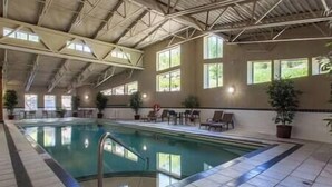 Una piscina interior con suelo de baldosas, estructura de techo metálica y varias plantas en macetas alrededor de la zona de la piscina.