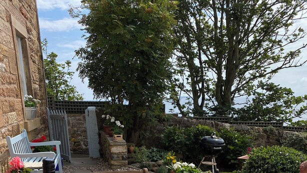 Ein Holztisch, reich gedeckt mit Hummer, Wein und Salat, umgeben von einem Garten mit Steinmauer und Bäumen.