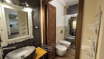 Shower, hair dryer, bidet, towels