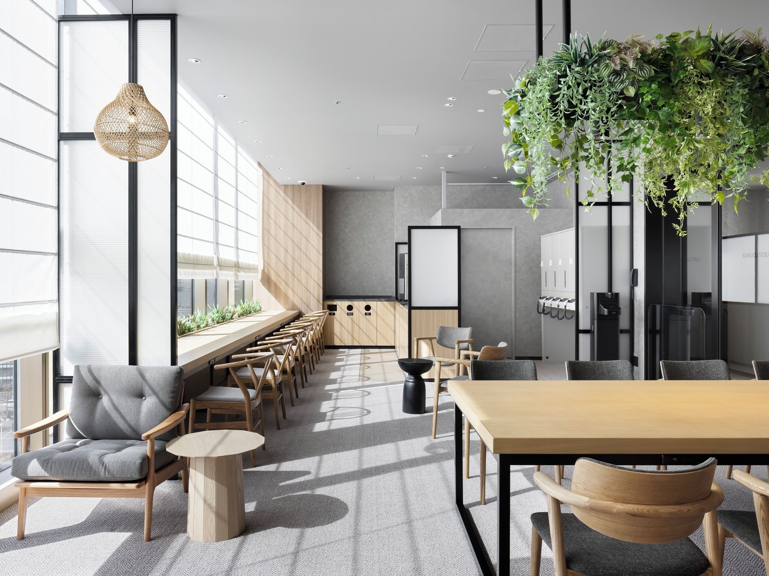 A modern office space with a long table and chairs, a hanging plant, and a large window providing natural light.