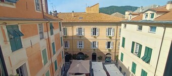 Delle Erbe The Nightlife