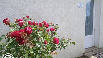 Details aan de buitenkant