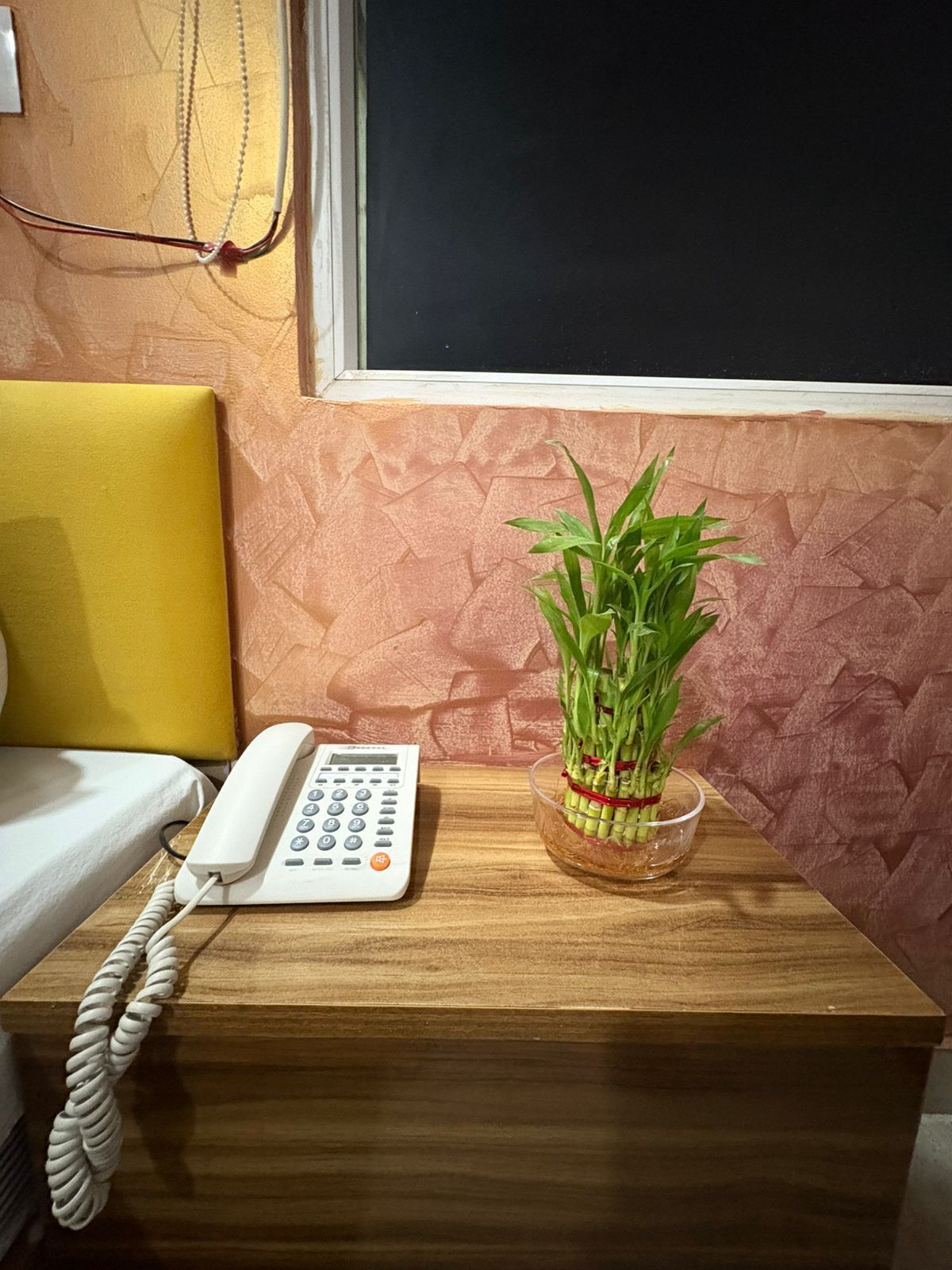 Una mesita de noche de madera con un teléfono blanco y un cuenco de vidrio transparente con plantas verdes.