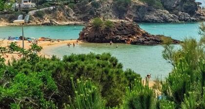 Seafront House in La Fosca: Terraces, WIFI, 5 Bedrooms, Direct Beach Access