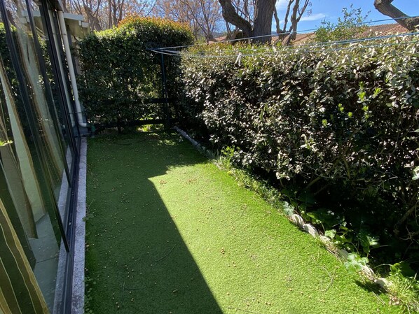 A garden with a well-maintained lawn, a hedge, and a metal fence.