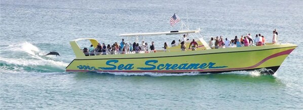 Exciting boat tour opportunities await nearby, with the Sea Screamer offering thrilling water adventures just offshore from the property.