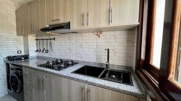 Fridge, oven, stovetop, cookware/dishes/utensils