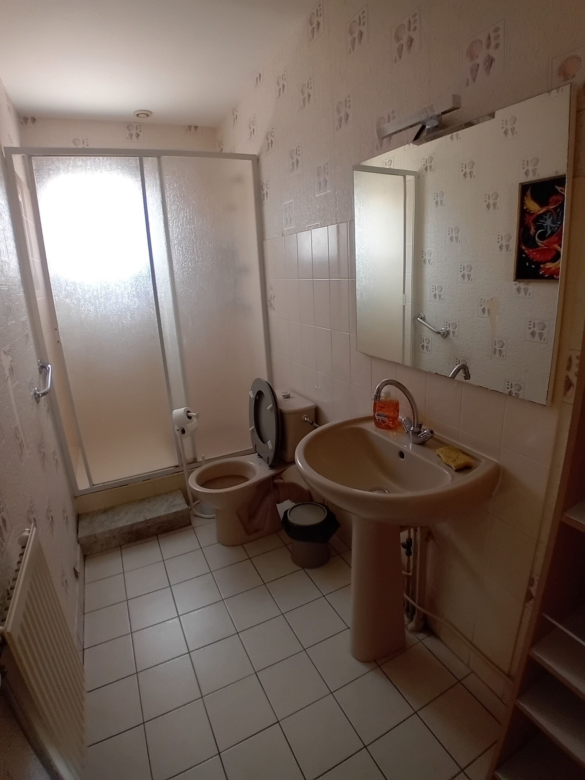 Douche, sèche-cheveux, bidet, savon