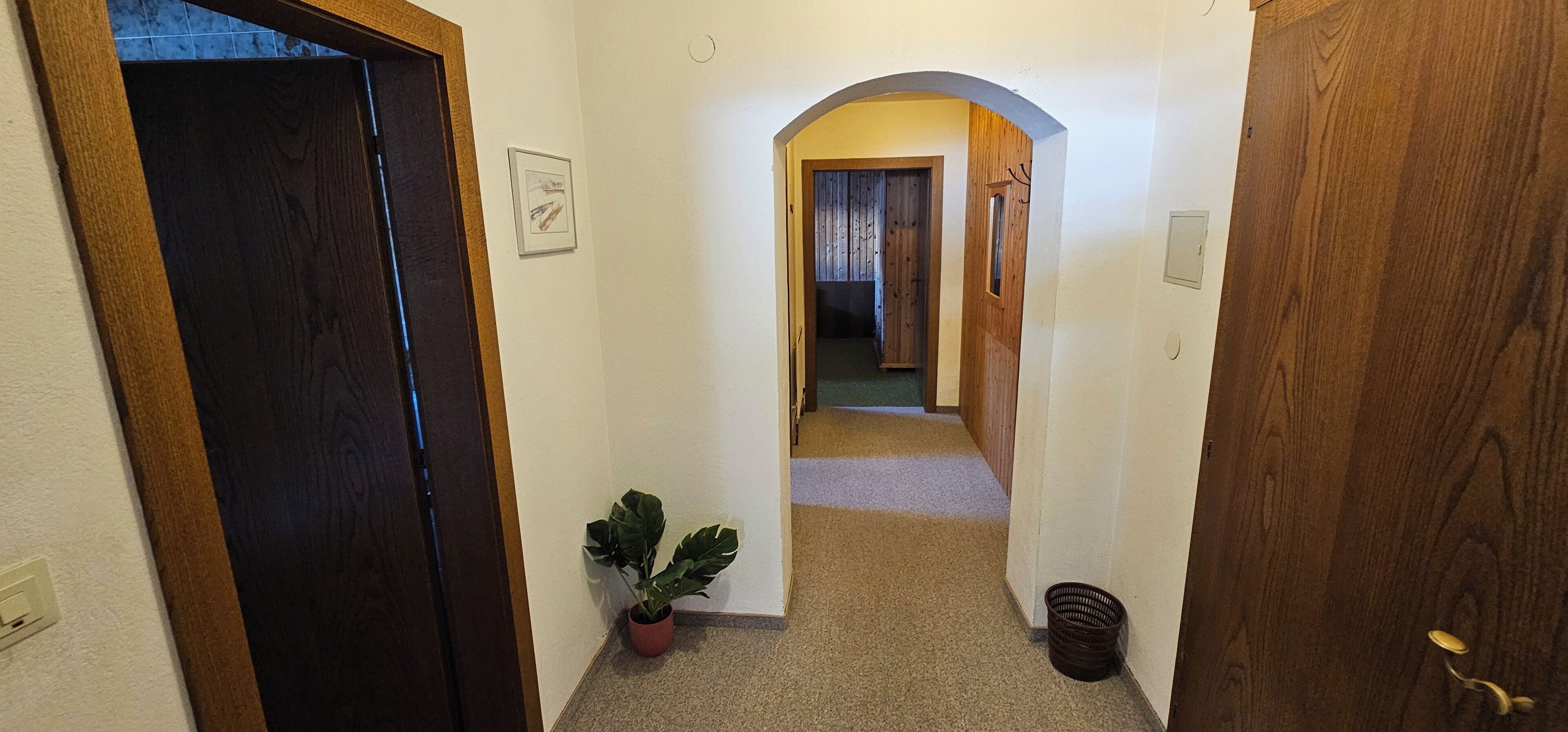 Un couloir étroit avec une porte en bois sur la gauche, une plante en pot et un panier sur la droite.