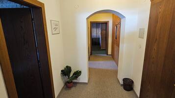 Un couloir étroit avec une porte en bois sur la gauche, une plante en pot et un panier sur la droite.
