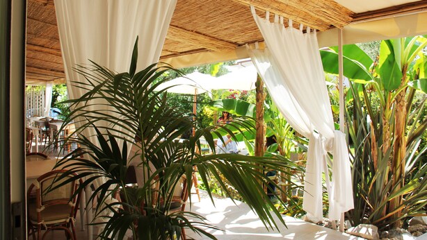 A covered outdoor area with bamboo ceiling, white curtains, and lush tropical plants.