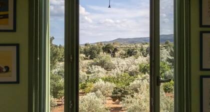 Elia Country House Villa
A 3 level villa with private pool, hosts up to 9 guests