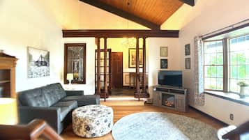 Smart TV, fireplace, books