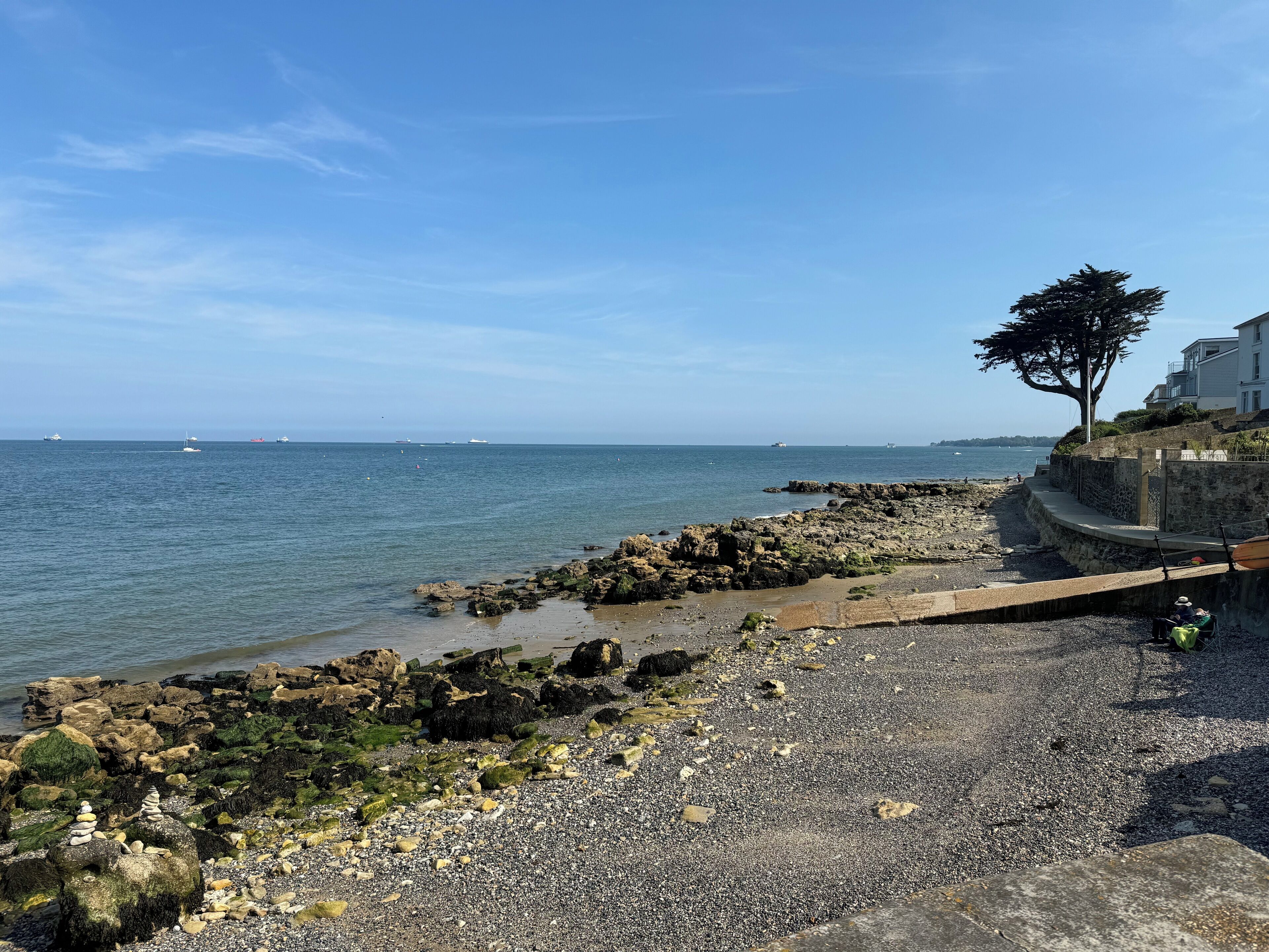 Una playa rocosa con un muro de piedra y un árbol.