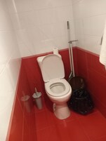 Secador de pelo, toallas, jabón, papel higiénico