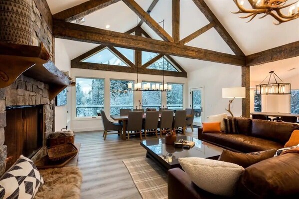 Télévision, cheminée, livres, espaces bureaux