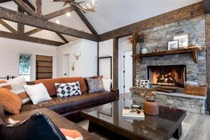 Télévision, cheminée, livres, espaces bureaux