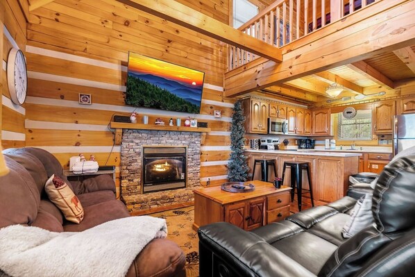 TV, fireplace, books
