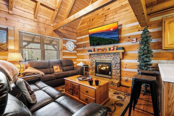 TV, fireplace, books