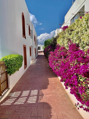 Exterior detail - Apartamento en Ibiza Illaplana, Entre Marina Botafoch y la Playa de Talamanca (Eivissa)