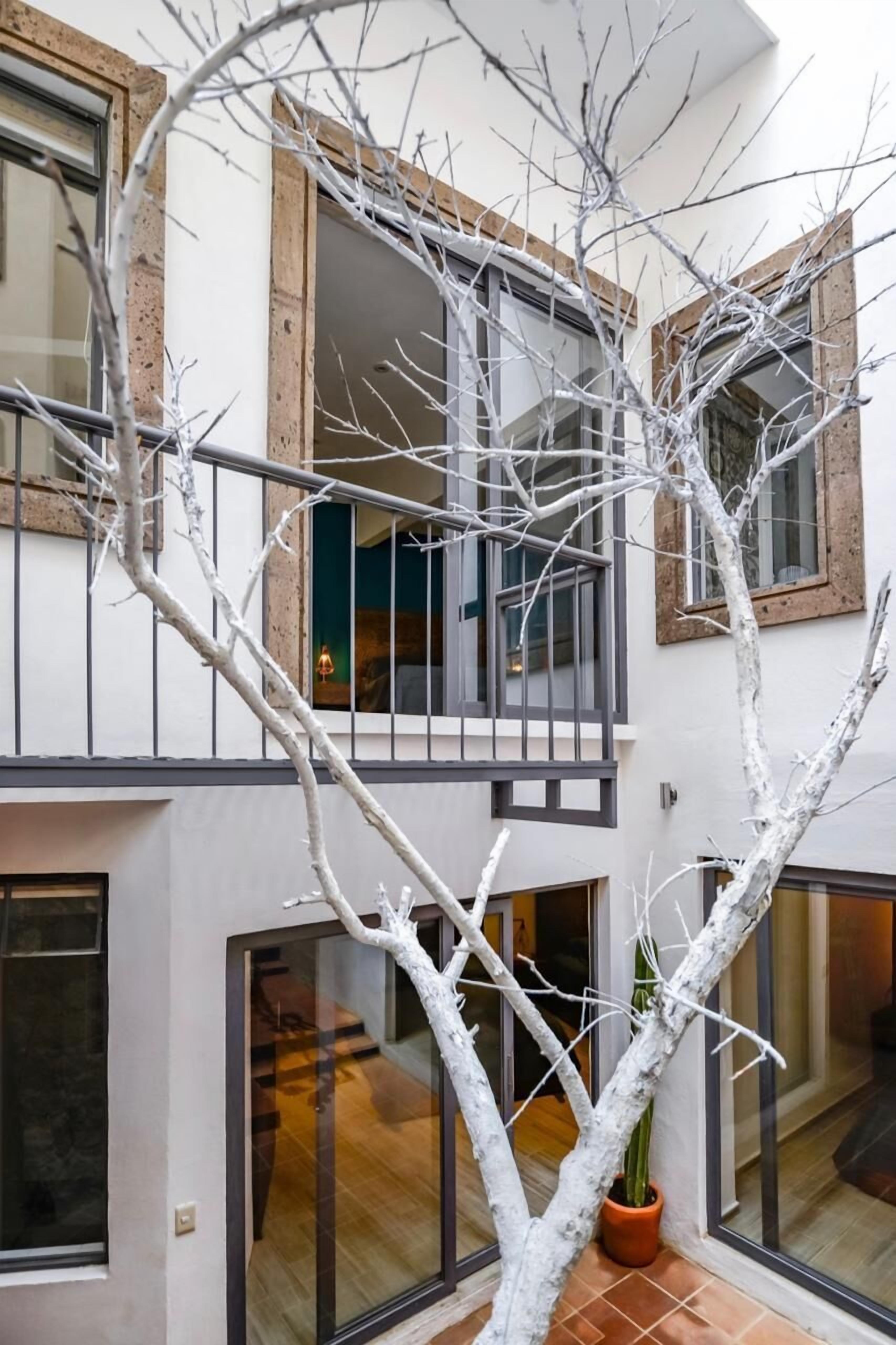 Vista desde la propiedad