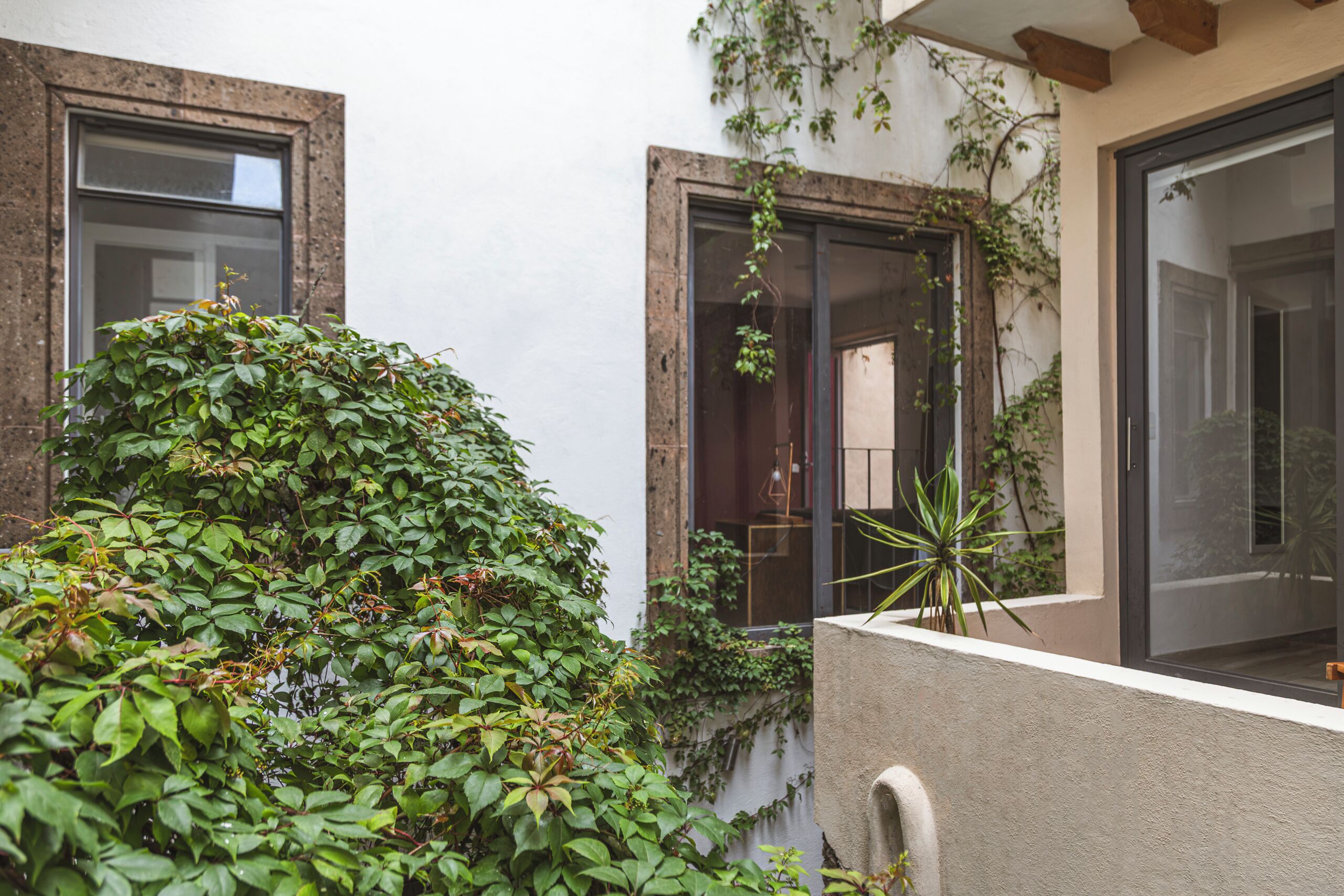 A building with a window, a door, and a plant.