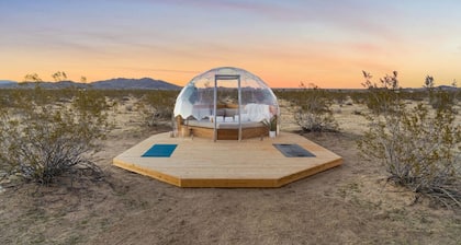 The Art Of The Desert (Chollita)