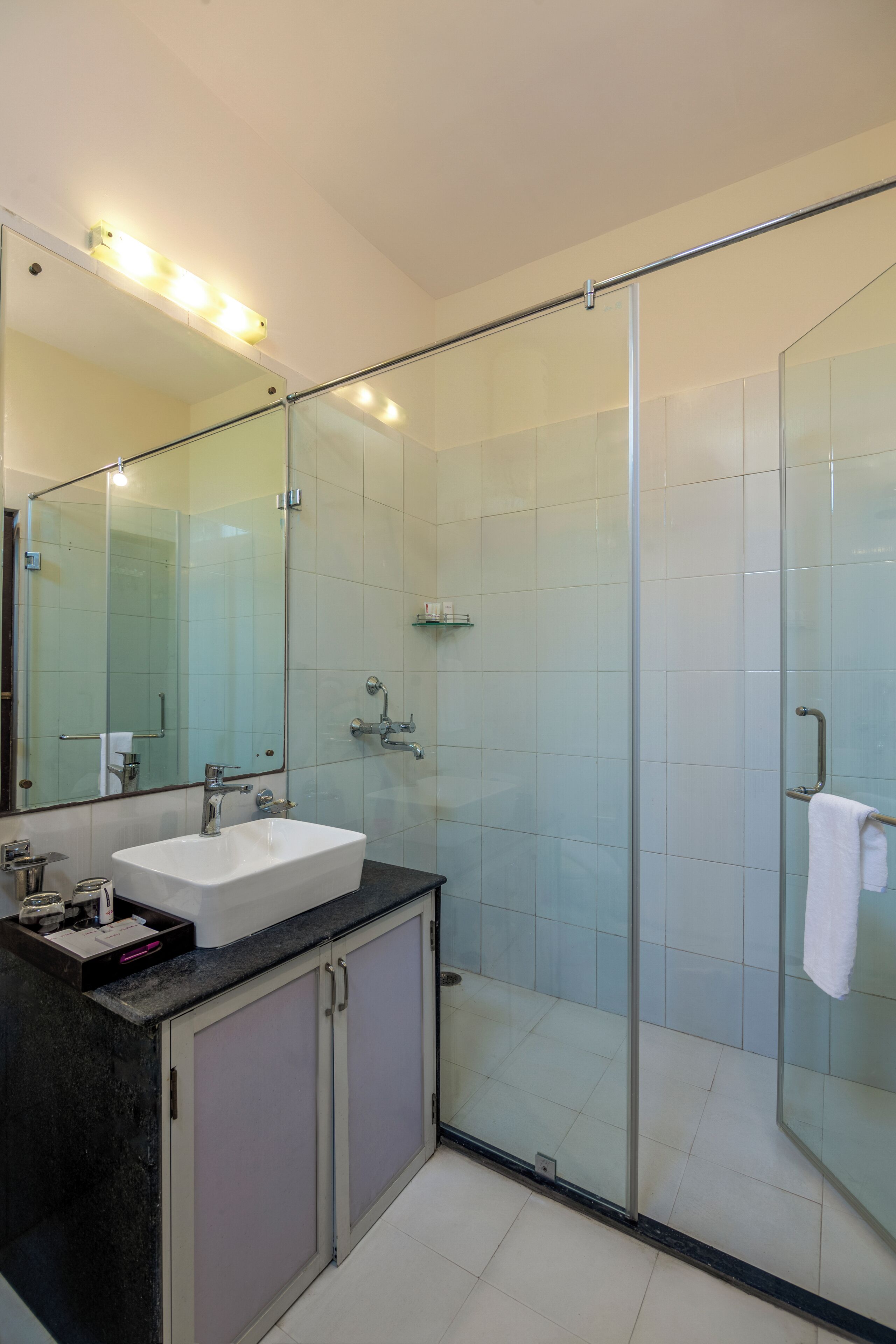 A modern bathroom with a glass shower enclosure, a white sink, and a large mirror.