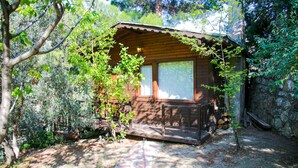 Een rustieke blokhut met een houten veranda, omgeven door weelderige begroeiing.