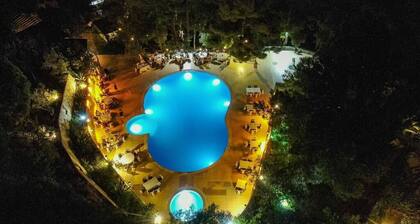 Dusler Vadisi Kazdaglari