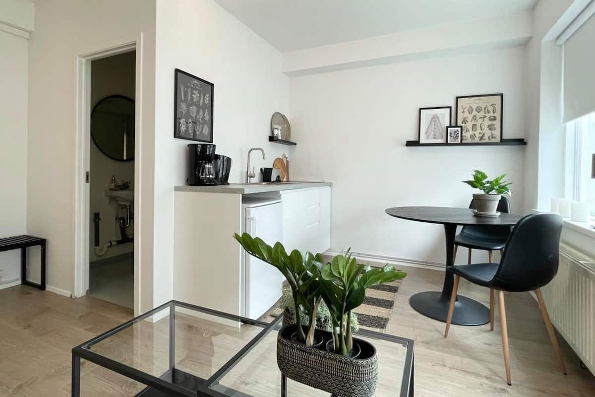 Standaard studio, uitzicht op stad | Privékeuken | Een koelkast, een magnetron, een oven, een kookplaat