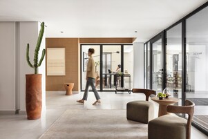 Un interior moderno con una gran planta de cactus, un banco de madera y un ventanal de vidrio que da a un comedor.