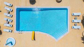 An aerial view of a rectangular swimming pool surrounded by lounge chairs and sunbeds, with a brick wall and a palm tree in the background.