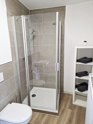 Ducha, toallas y papel higiénico