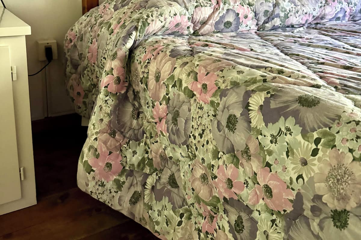 Basic Double or Twin Room, Mountain View