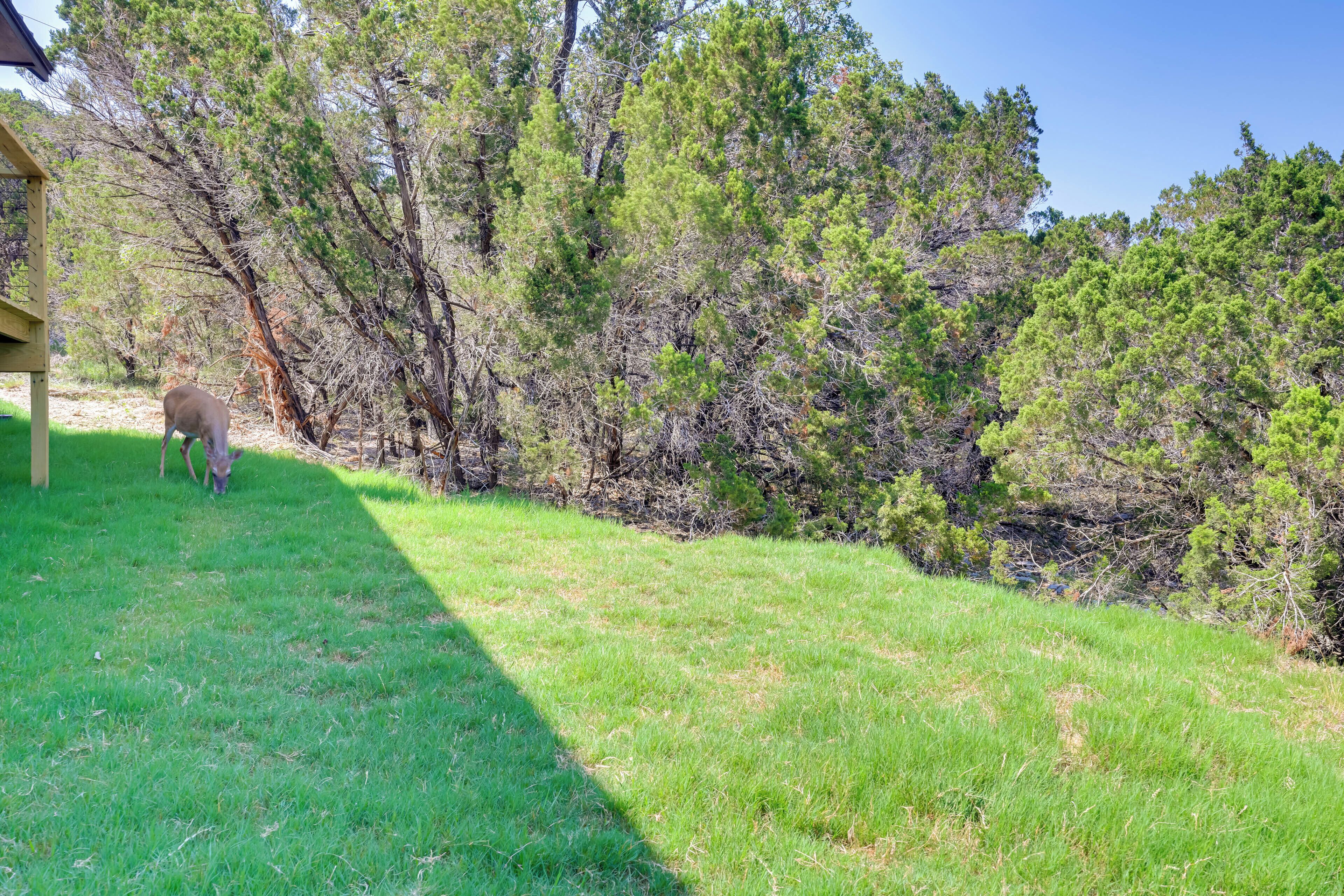 Căn hộ (0 Bedroom) | Nội thất