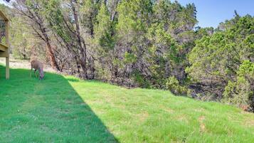 Apartment (0 Bedroom) | Interior