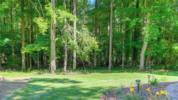 Apartment (0 Bedroom) | Interior