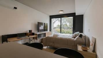 1 bedroom, desk, WiFi, bed sheets