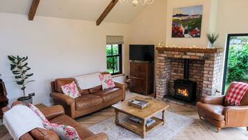 Smart TV, chimenea, libros